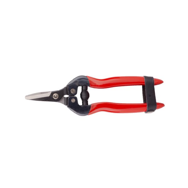 PA-SP16C PALMERA MEYVE TOPLAMA MAKASI EĞİK ÇELİK SAP 3 MM KESME ÇAPI 16,5 CM