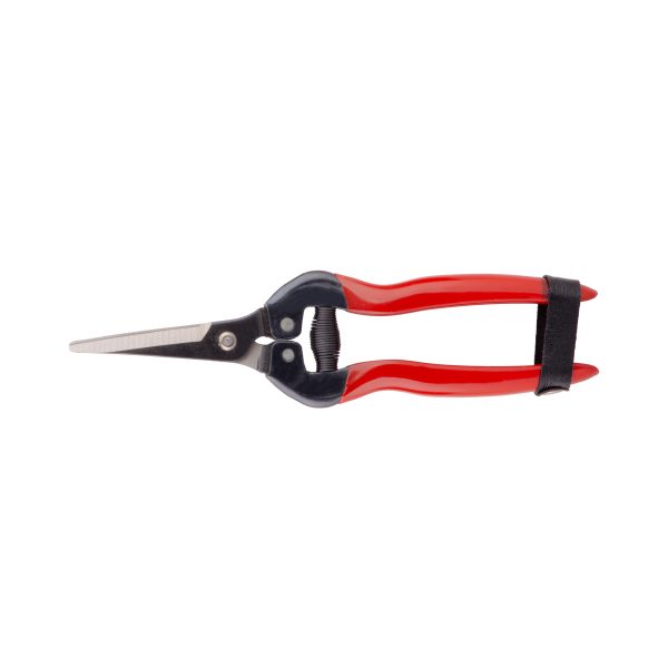 PA-SP19 PALMERA MEYVE TOPLAMA MAKASI EĞİK UZUN ÇELİK SAP 3 MM KESME ÇAPI 18,5 CM